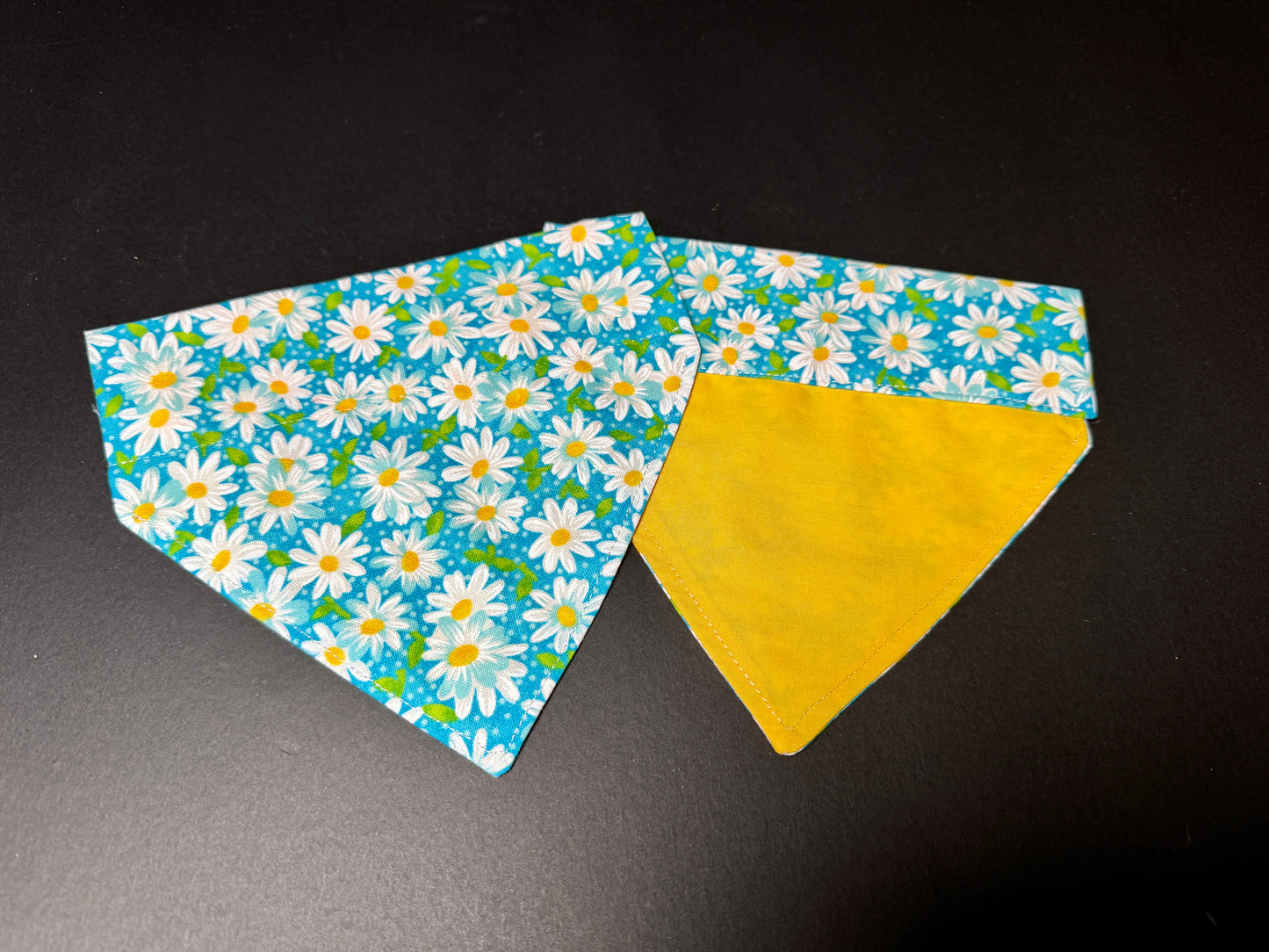 Over the Collar Bandana