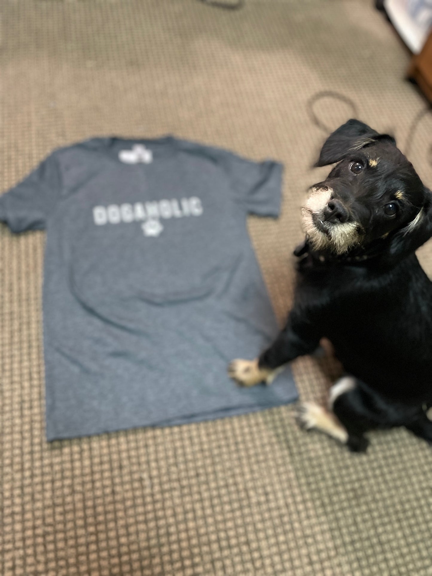a dog standing next to the grey & white dogaholic tshirt