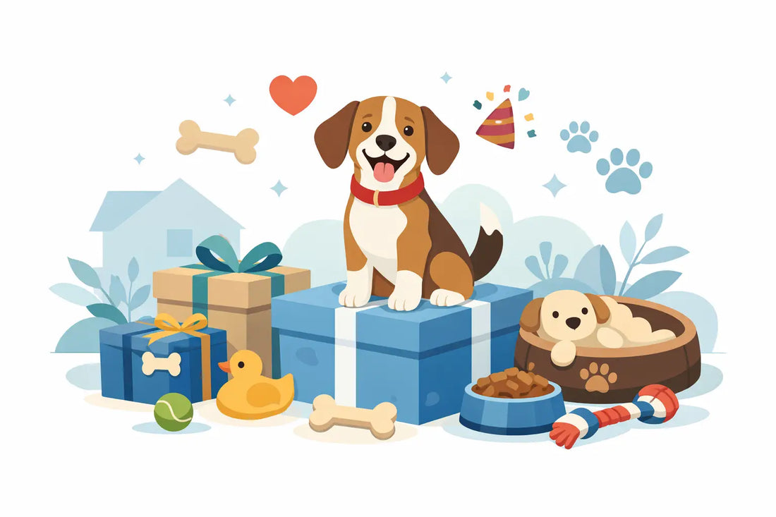 Pet Gifting Trends Every Dog Lover Will Love