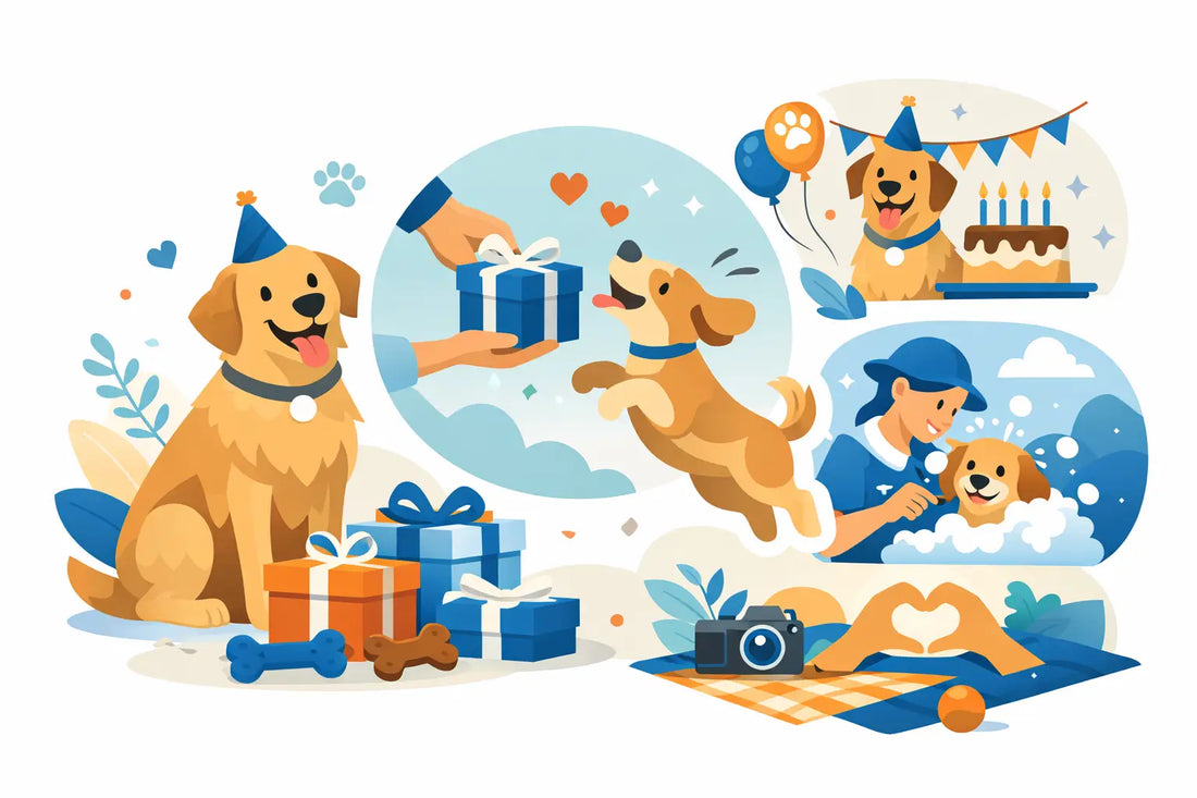 A Guide to Dog Gift Occasions Worth Celebrating