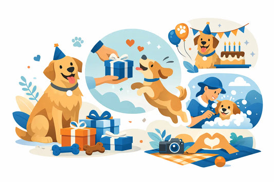 A Guide to Dog Gift Occasions Worth Celebrating