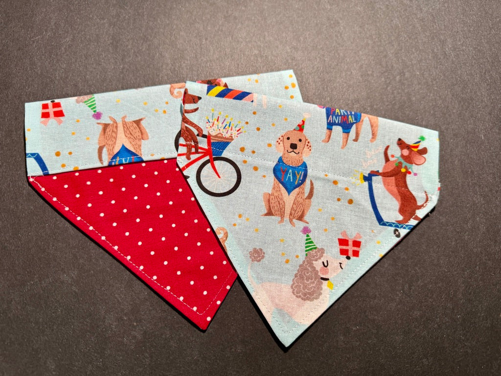 a birthday dog bandanna with dogs celebrating