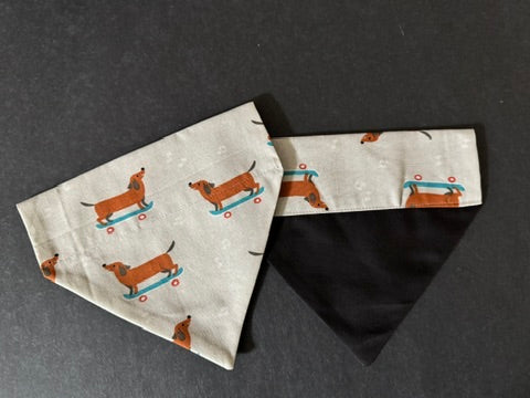 a white dog bandanna with dachshunds on skate boards